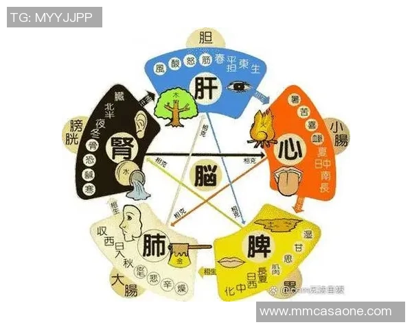 姚明的健康秘诀揭秘:他常用的穴位与养生技巧分析