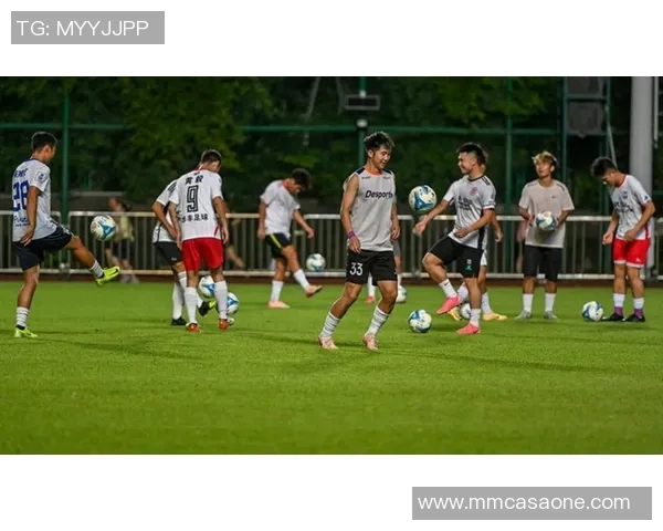 湖南株洲足球明星的崛起与成就探秘及其对地方足球的影响