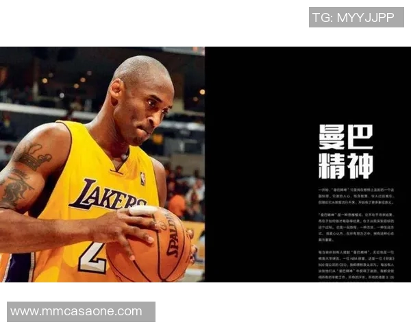 篮球明星芬的传奇之路与成长故事揭秘篮球场上的辉煌瞬间